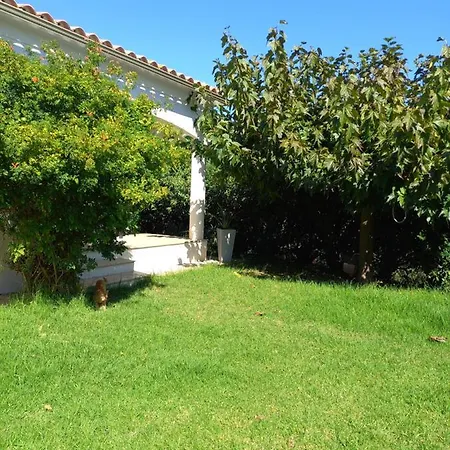 Butrone Sarrola * Afa