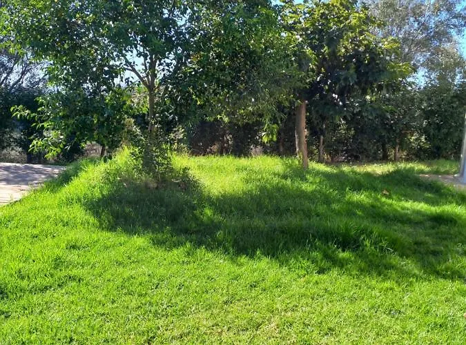 Butrone Sarrola * Afa