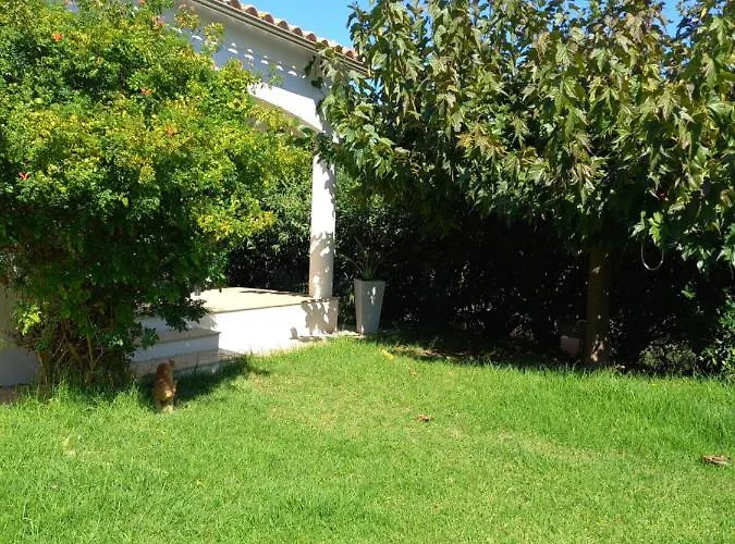 Butrone Sarrola * Afa